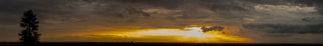 Unbekannte Nummer: Was steckt hinter +31 85 888 82 96?